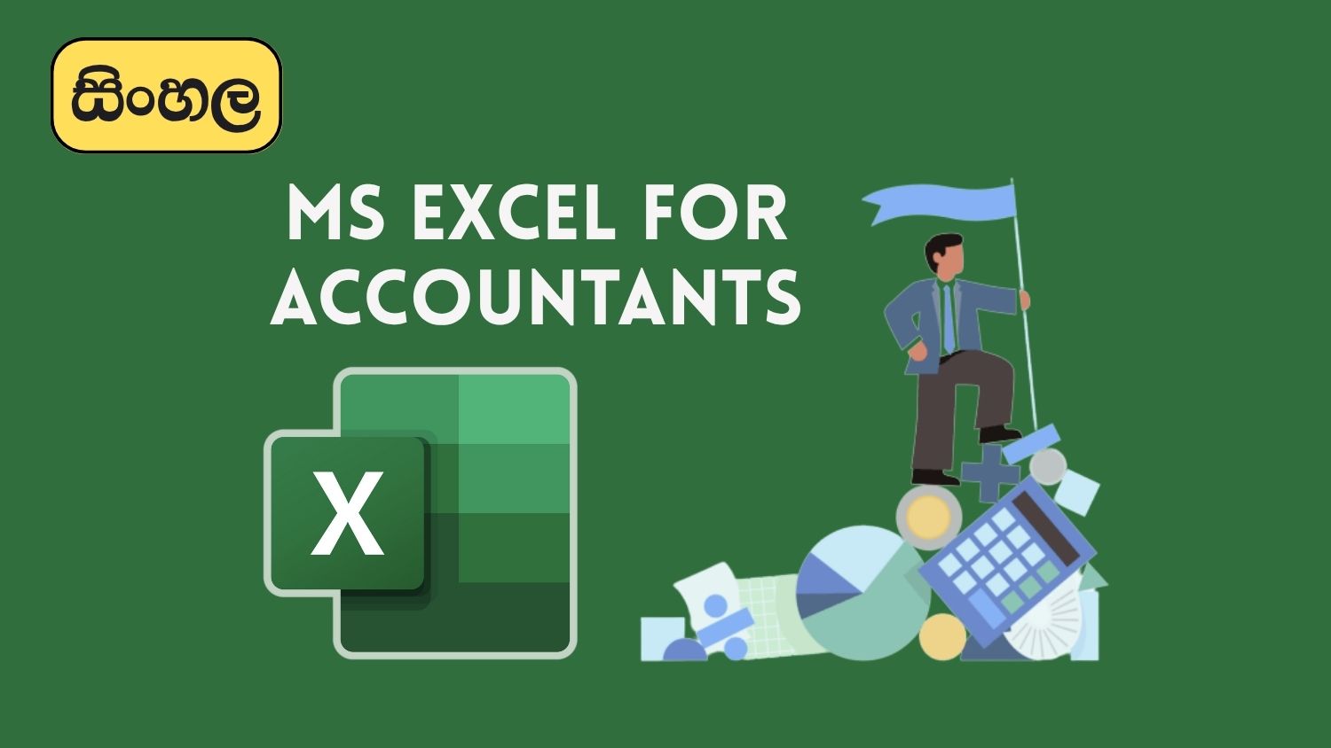 Microsoft Excel for Accountants – Sinhala